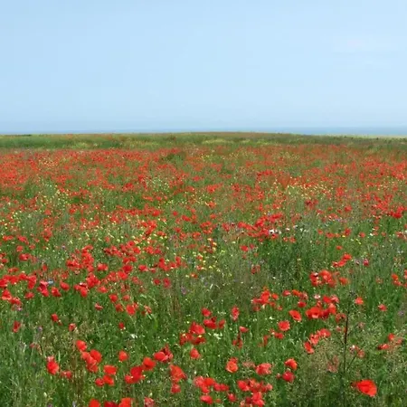 Ferienhaus Seaside Escape For Families *